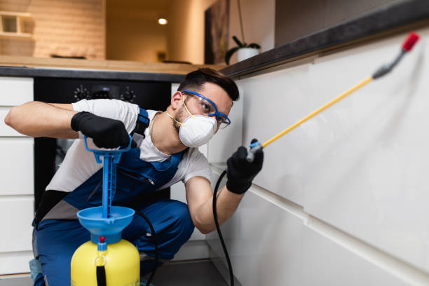 Best Exterminator Services  in Watkins Glen, NY