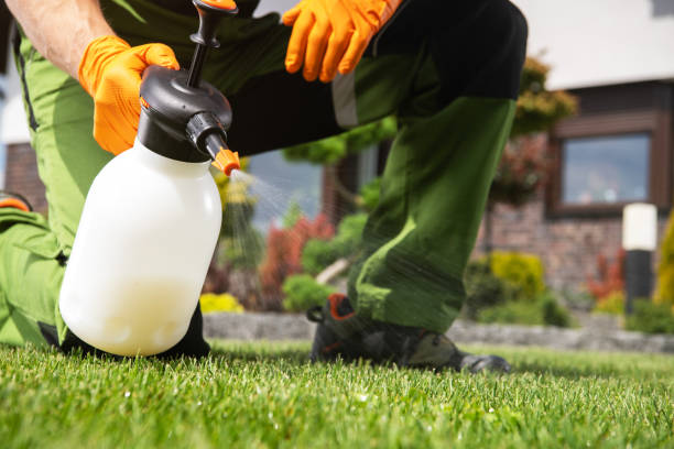 Best Mosquito Control Services  in Watkins Glen, NY