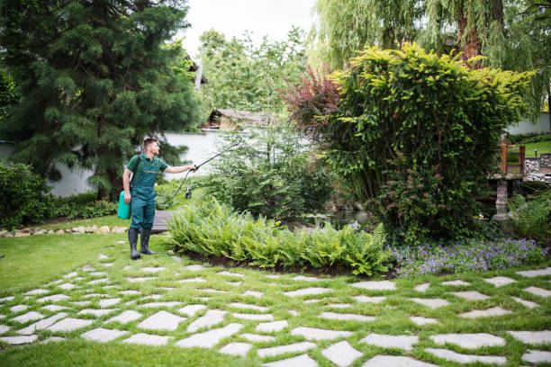 Best Pest Control Near Me  in Watkins Glen, NY