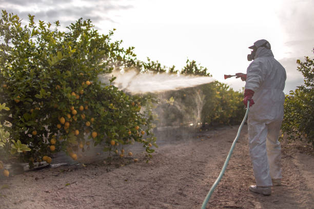 Best Pest Removal Services  in Watkins Glen, NY