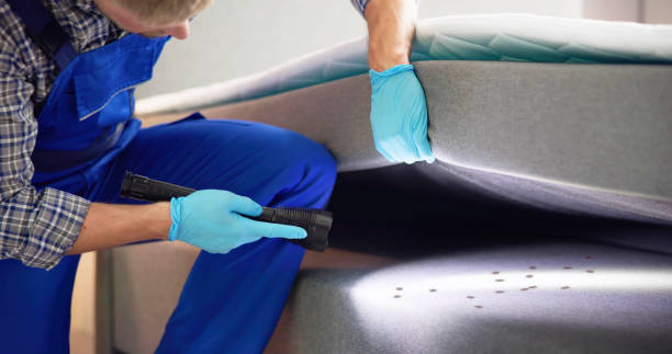 Best Ant Control Services  in Watkins Glen, NY