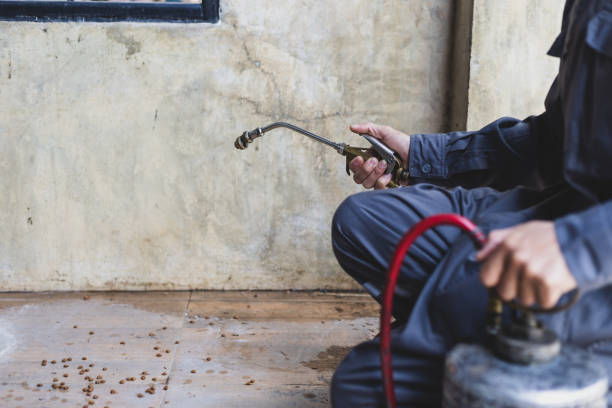 Best Affordable Pest Control Services  in Watkins Glen, NY